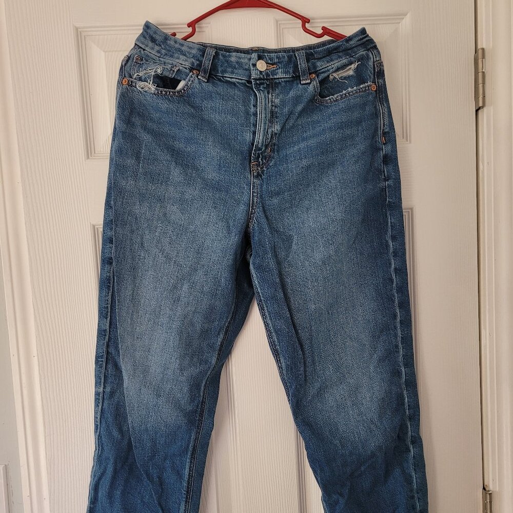 American Eagle 10 Short Curvy Mom Jean